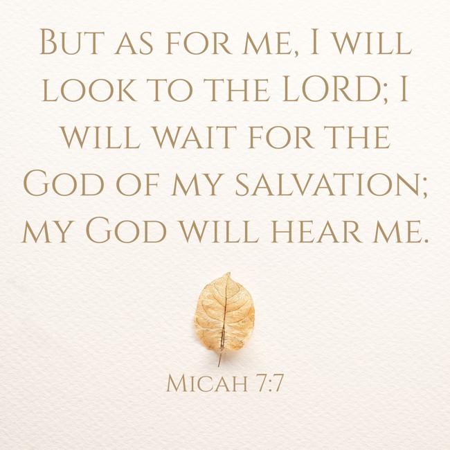 But as for me, I will look to the LORD; I will wait for the God of my salvation; my God will hear me. - Micah 7:7