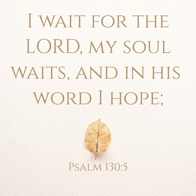 I wait for the LORD, my soul waits, and in his word I hope; - Psalm 130:5