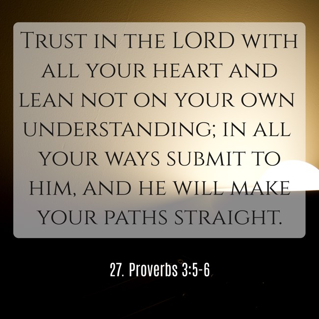 Trust in the LORD with all your heart and lean not on your own understanding; in all your ways submit to him, and he will make your paths straight. - 27. Proverbs 3:5-6