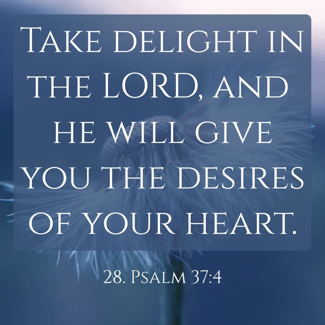 Take delight in the LORD, and he will give you the desires of your heart. - 28. Psalm 37:4