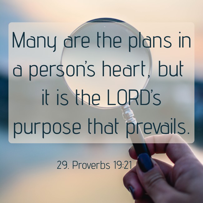 Many are the plans in a person’s heart, but it is the LORD’s purpose that prevails. - 29. Proverbs 19:21