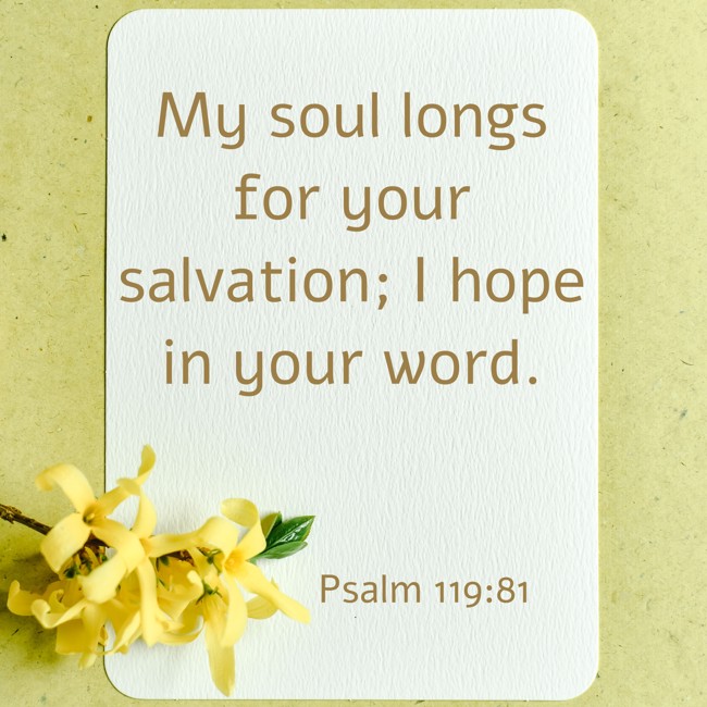 My soul longs for your salvation; I hope in your word. - Psalm 119:81