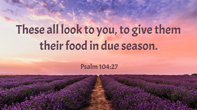 These all look to you, to give them their food in due season. - Psalm 104:27