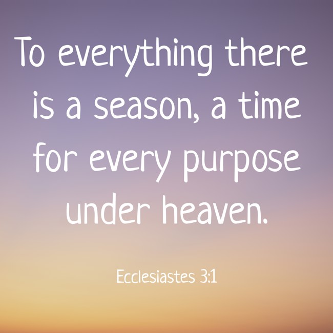 To everything there is a season, a time for every purpose under heaven. - Ecclesiastes 3:1