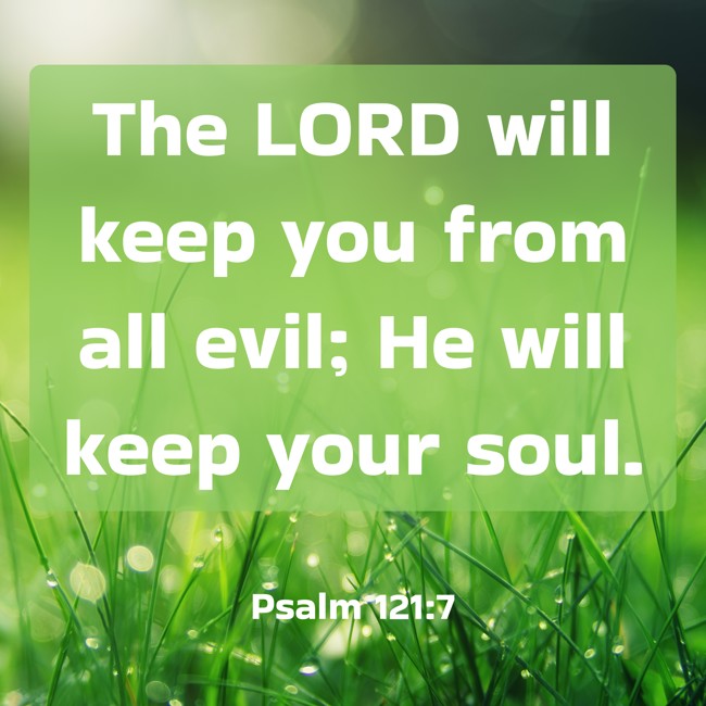 The LORD will keep you from all evil; He will keep your soul. - Psalm 121:7