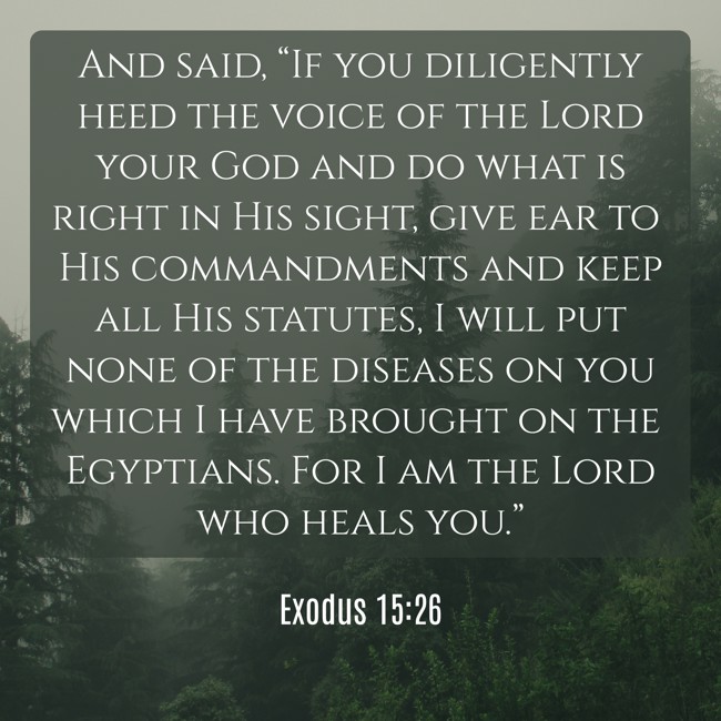 And said, “If you diligently heed the voice of the Lord your God and do what is right in His sight, give ear to His commandments and keep all His statutes, I will put none of the diseases on you which I have brought on the Egyptians. For I am the Lord who heals you.” - Exodus 15:26