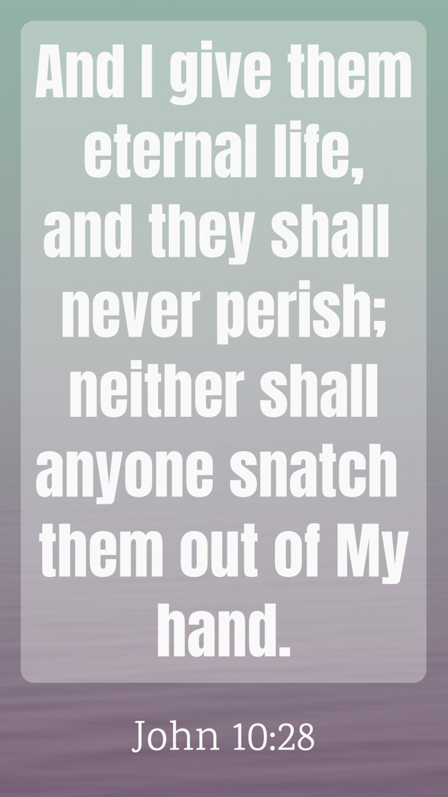 And I give them eternal life, and they shall never perish; neither shall anyone snatch them out of My hand. - John 10:28