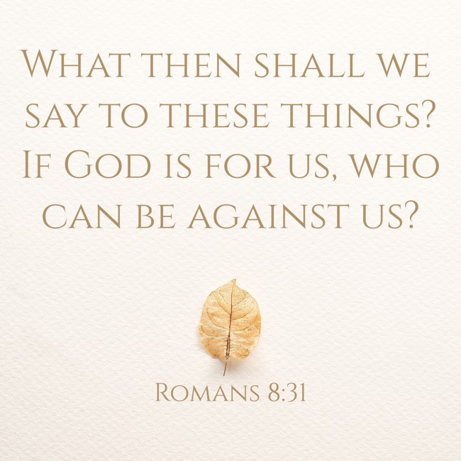 What then shall we say to these things? If God is for us, who can be against us? - Romans 8:31