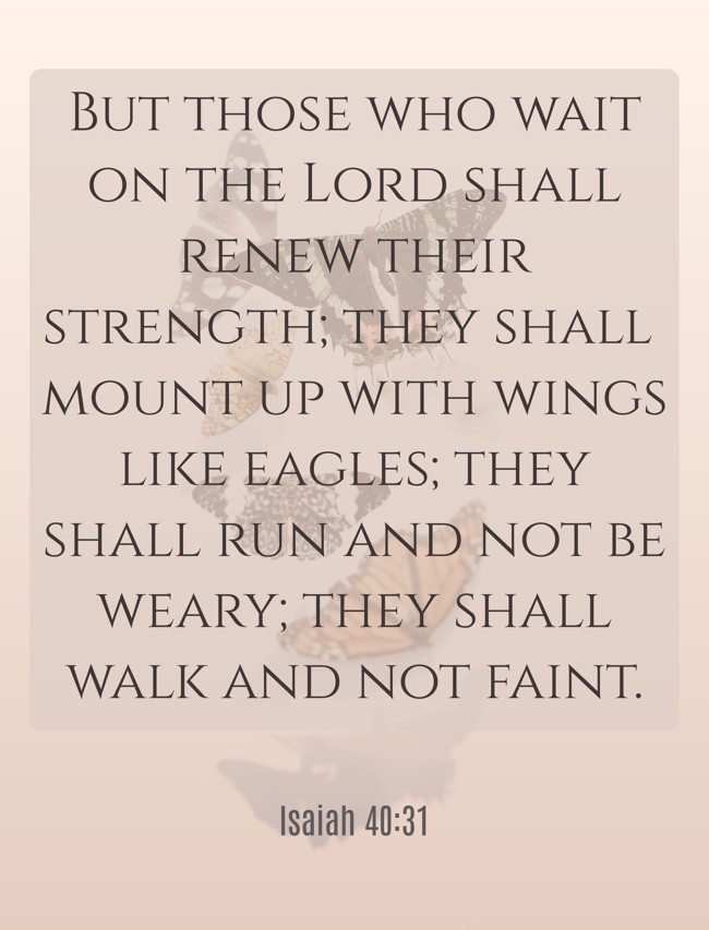 But those who wait on the Lord shall renew their strength; they shall mount up with wings like eagles; they shall run and not be weary; they shall walk and not faint. - Isaiah 40:31