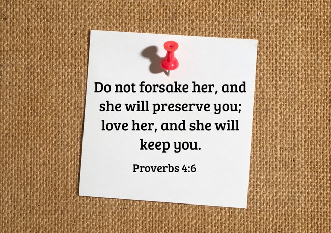 Do not forsake her, and she will preserve you; love her, and she will keep you. - Proverbs 4:6