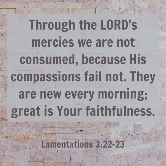 Through the LORD's mercies we are not consumed, because His compassions fail not. They are new every morning; great is Your faithfulness. - Lamentations 3:22-23