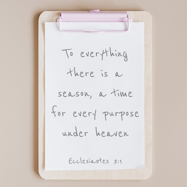 To everything there is a season, a time for every purpose under heaven - Ecclesiastes 3:1