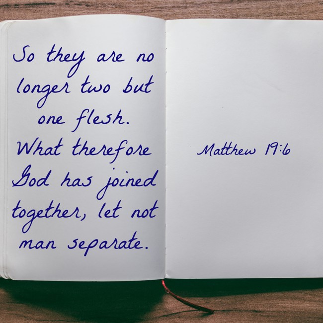 So they are no longer two but one flesh. What therefore God has joined together, let not man separate. - Matthew 19:6