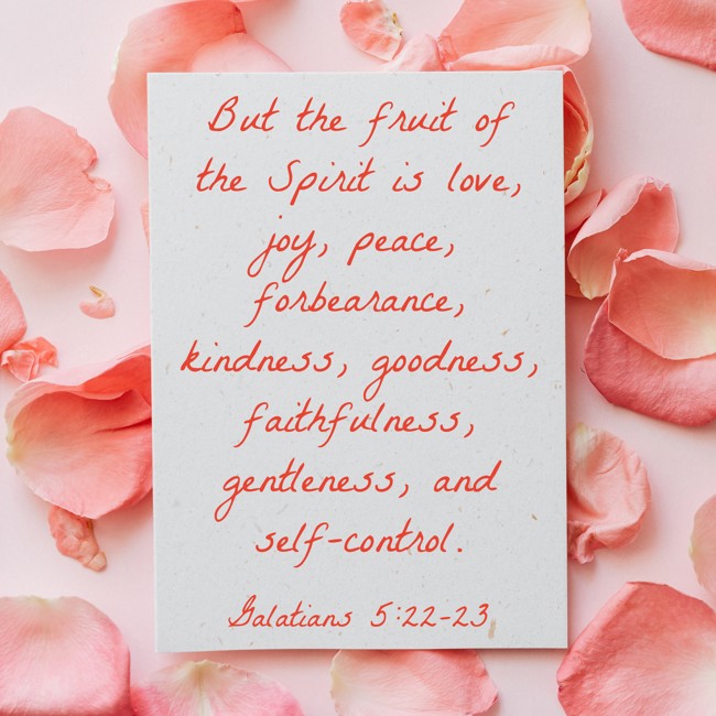 But the fruit of the Spirit is love, joy, peace, forbearance, kindness, goodness, faithfulness, gentleness, and self-control. - Galatians 5:22-23