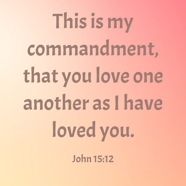 This is my commandment, that you love one another as I have loved you. - John 15:12