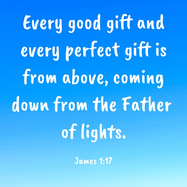 Every good gift and every perfect gift is from above, coming down from the Father of lights. - James 1:17