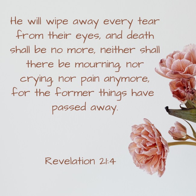 He will wipe away every tear from their eyes, and death shall be no more, neither shall there be mourning, nor crying, nor pain anymore, for the former things have passed away. - Revelation 21:4