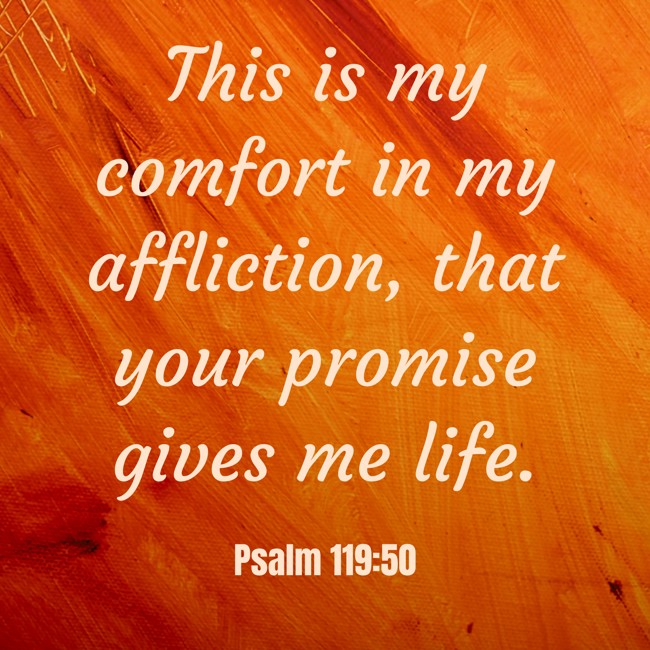 This is my comfort in my affliction, that your promise gives me life. - Psalm 119:50