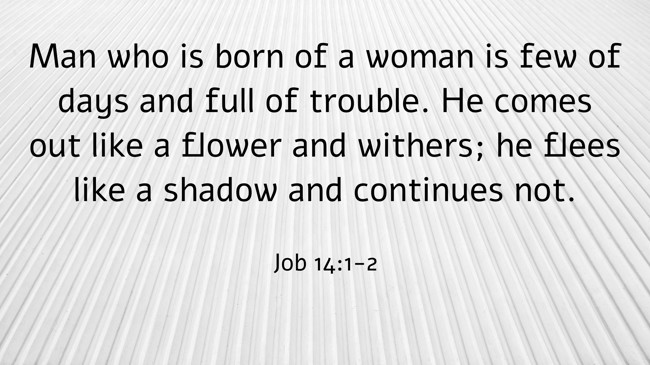 Man who is born of a woman is few of days and full of trouble. He comes out like a flower and withers; he flees like a shadow and continues not. - Job 14:1-2
