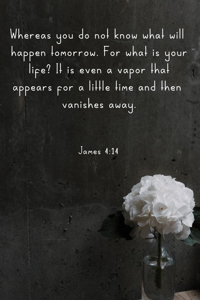 Whereas you do not know what will happen tomorrow. For what is your life? It is even a vapor that appears for a little time and then vanishes away. - James 4:14