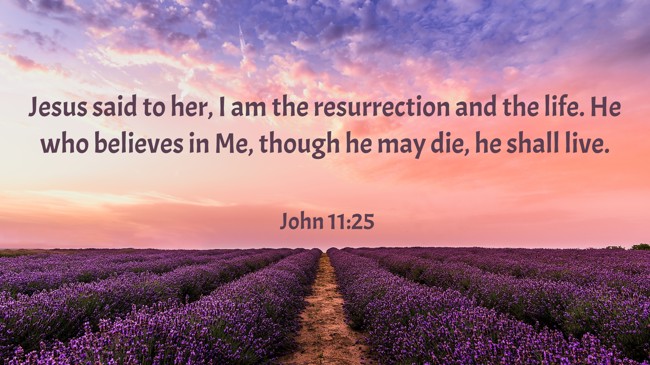 Jesus said to her, I am the resurrection and the life. He who believes in Me, though he may die, he shall live. - John 11:25