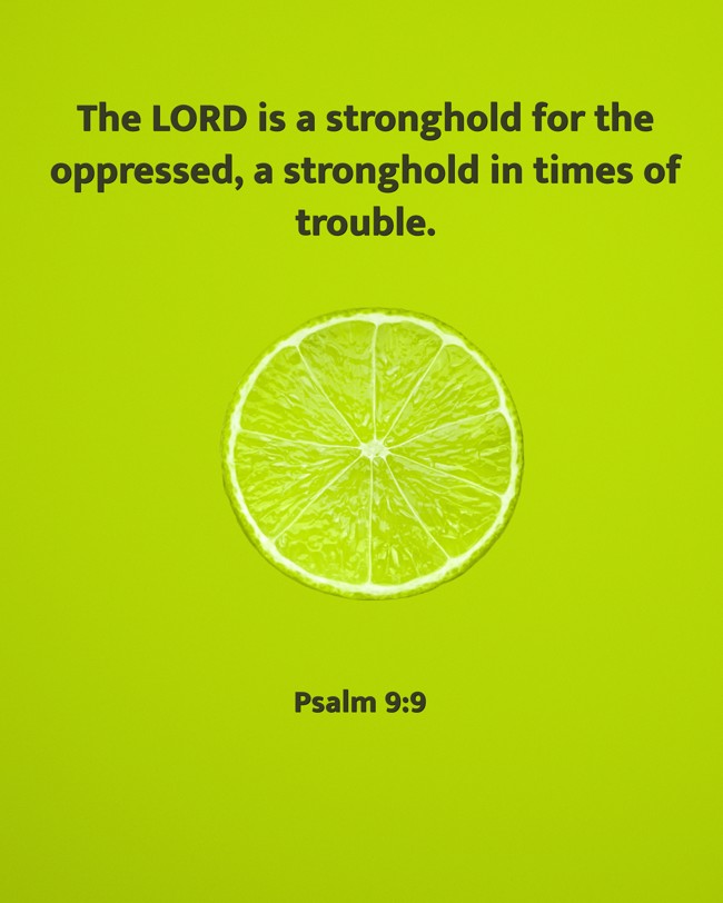The LORD is a stronghold for the oppressed, a stronghold in times of trouble. - Psalm 9:9