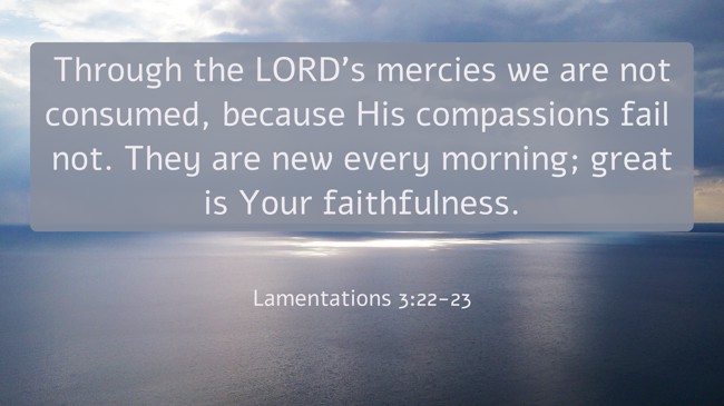 Through the LORD's mercies we are not consumed, because His compassions fail not. They are new every morning; great is Your faithfulness. - Lamentations 3:22-23