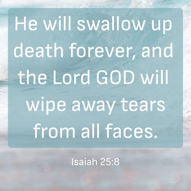 He will swallow up death forever, and the Lord GOD will wipe away tears from all faces. - Isaiah 25:8