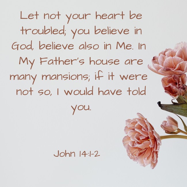 Let not your heart be troubled; you believe in God, believe also in Me. In My Father’s house are many mansions; if it were not so, I would have told you. - John 14:1-2