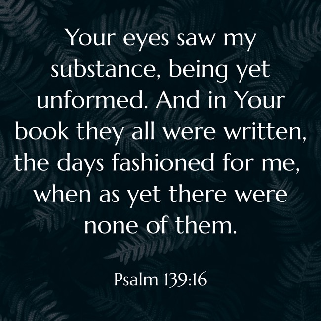 Your eyes saw my substance, being yet unformed. And in Your book they all were written, the days fashioned for me, when as yet there were none of them. - Psalm 139:16