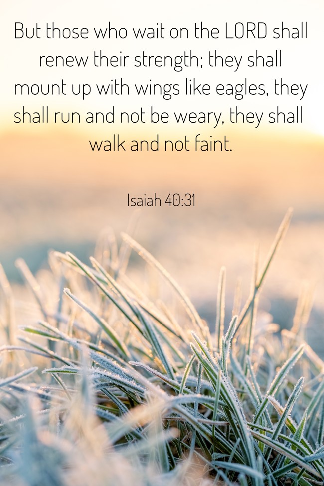 But those who wait on the LORD shall renew their strength; they shall mount up with wings like eagles, they shall run and not be weary, they shall walk and not faint. - Isaiah 40:31