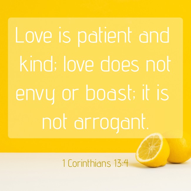 Love is patient and kind; love does not envy or boast; it is not arrogant. - 1 Corinthians 13:4