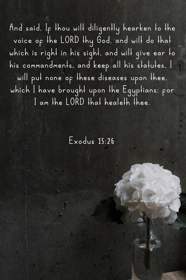 And said, If thou wilt diligently hearken to the voice of the LORD thy God, and wilt do that which is right in his sight, and wilt give ear to his commandments, and keep all his statutes, I will put none of these diseases upon thee, which I have brought upon the Egyptians: for I am the LORD that healeth thee. - Exodus 15:26