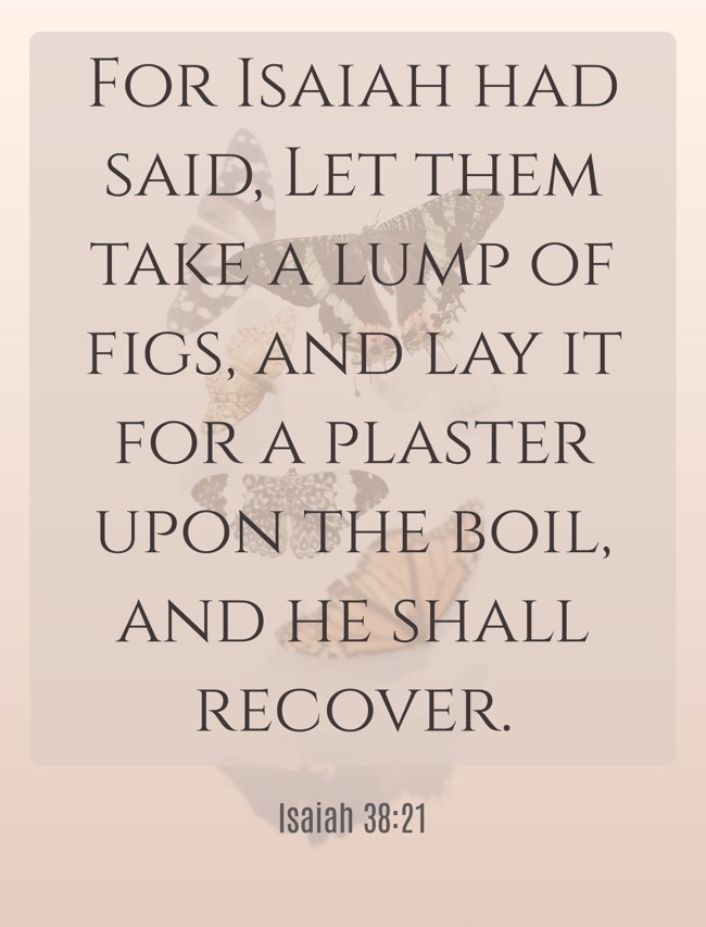 For Isaiah had said, Let them take a lump of figs, and lay it for a plaster upon the boil, and he shall recover. - Isaiah 38:21
