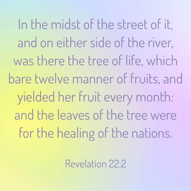 In the midst of the street of it, and on either side of the river, was there the tree of life, which bare twelve manner of fruits, and yielded her fruit every month: and the leaves of the tree were for the healing of the nations. - Revelation 22:2