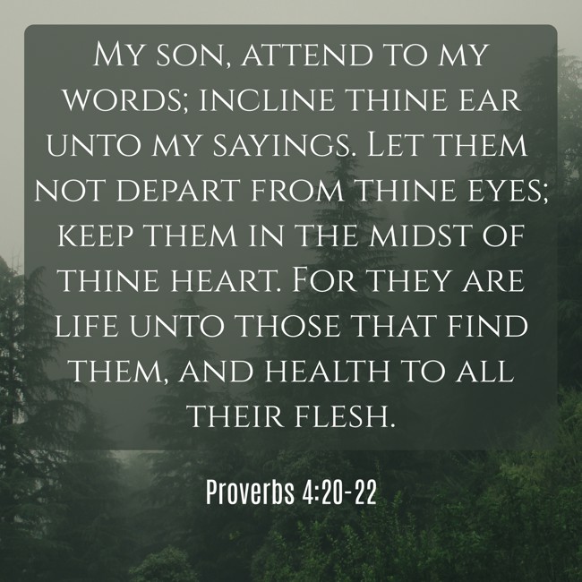 My son, attend to my words; incline thine ear unto my sayings. Let them not depart from thine eyes; keep them in the midst of thine heart. For they are life unto those that find them, and health to all their flesh. - Proverbs 4:20-22