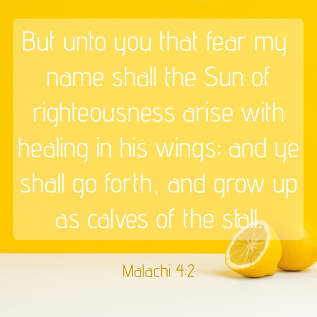 But unto you that fear my name shall the Sun of righteousness arise with healing in his wings; and ye shall go forth, and grow up as calves of the stall. - Malachi 4:2