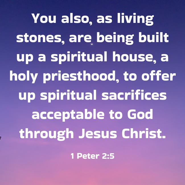 You also, as living stones, are being built up a spiritual house, a holy priesthood, to offer up spiritual sacrifices acceptable to God through Jesus Christ. - 1 Peter 2:5