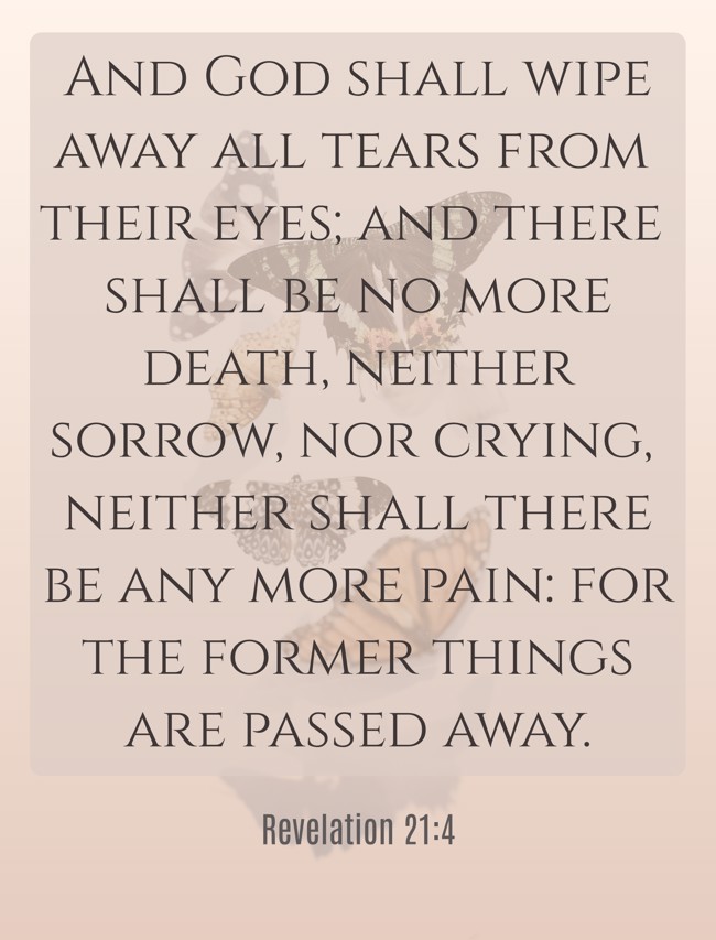 And God shall wipe away all tears from their eyes; and there shall be no more death, neither sorrow, nor crying, neither shall there be any more pain: for the former things are passed away. - Revelation 21:4