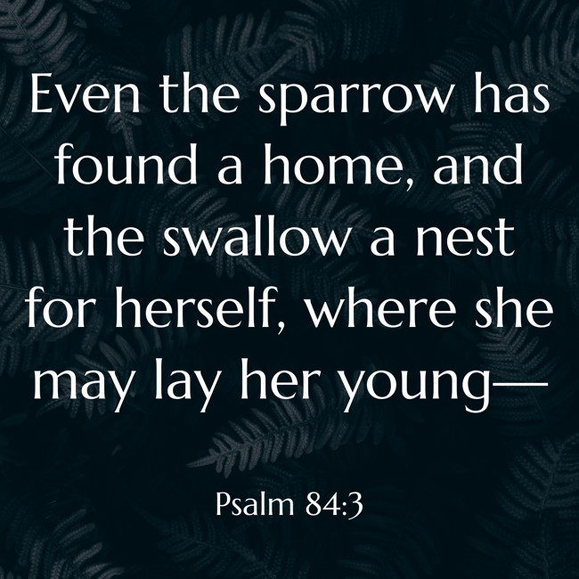 Even the sparrow has found a home, and the swallow a nest for herself, where she may lay her young— - Psalm 84:3