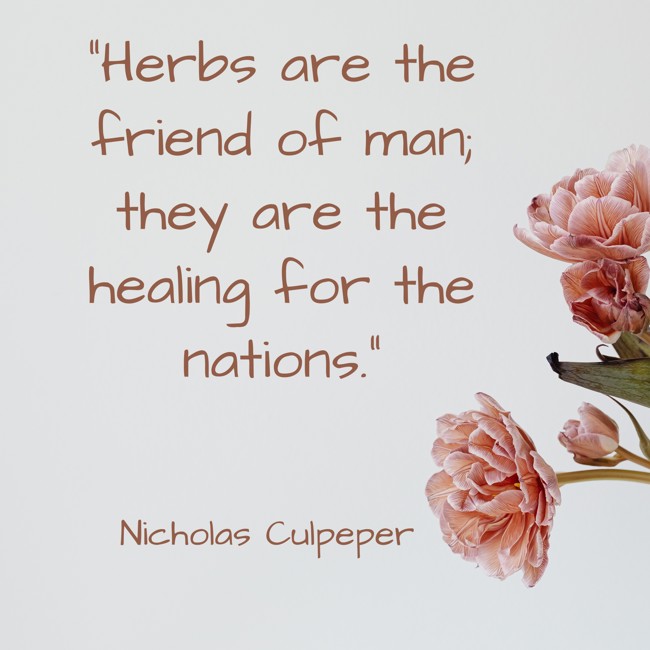 Herbs are the friend of man; they are the healing for the nations. - Nicholas Culpeper