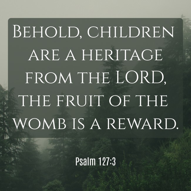 Behold, children are a heritage from the LORD, the fruit of the womb is a reward. - Psalm 127:3