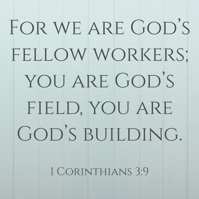 For we are God’s fellow workers; you are God’s field, you are God’s building. - 1 Corinthians 3:9