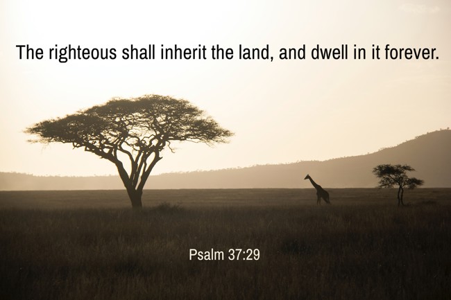 The righteous shall inherit the land, and dwell in it forever. - Psalm 37:29