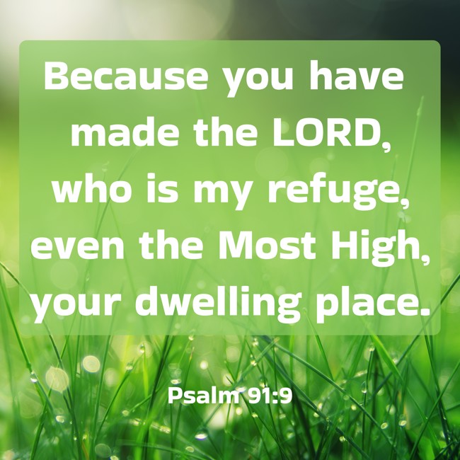 Because you have made the LORD, who is my refuge, even the Most High, your dwelling place. - Psalm 91:9
