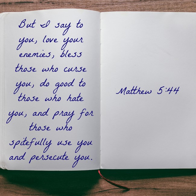 But I say to you, love your enemies, bless those who curse you, do good to those who hate you, and pray for those who spitefully use you and persecute you. - Matthew 5:44