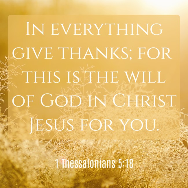 In everything give thanks; for this is the will of God in Christ Jesus for you. - 1 Thessalonians 5:18