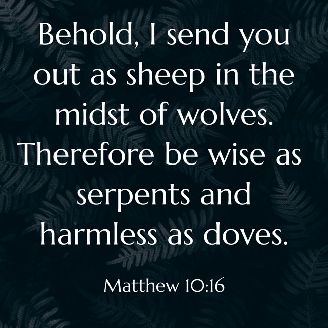 Behold, I send you out as sheep in the midst of wolves. Therefore be wise as serpents and harmless as doves. - Matthew 10:16