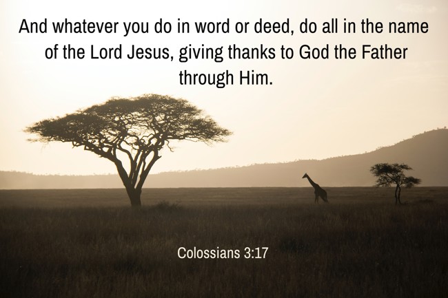 And whatever you do in word or deed, do all in the name of the Lord Jesus, giving thanks to God the Father through Him. - Colossians 3:17