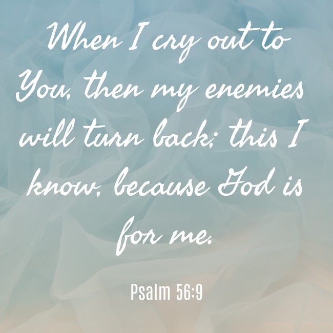 When I cry out to You, then my enemies will turn back; this I know, because God is for me. - Psalm 56:9